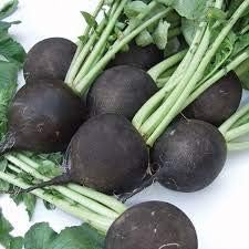 Heirloom Radish Vegetable Seeds for Planting