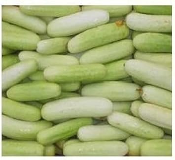 Light Green Cucumber Seeds for Planting