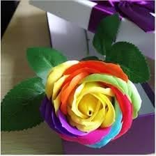 Flower Seeds, Seeds for Planting, Plant Seeds