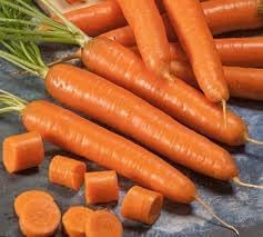 Carrot Bolero Hybrid Seeds for Planting