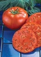Red Tomato Beefmaster Vegetable Seeds for Planting