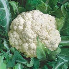 Self Blanching Cauliflower Seeds for Planting