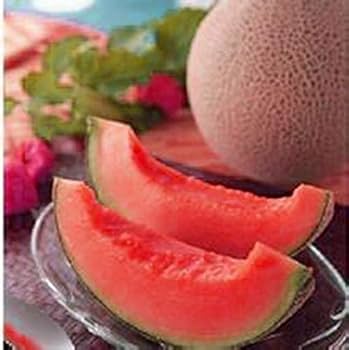 Fresh Pink Cantaloupe Melon Fruit Seeds for Planting -Heirloom Seeds