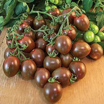 Chocolate Mix Tomato Vegetable Seeds for Planting