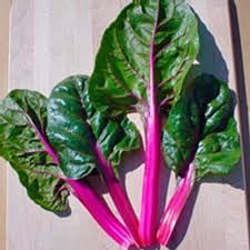 Pink Swiss Chard Seeds for Planting