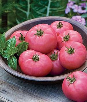 Heirloom Tomato Vegetable Seeds for Planting
