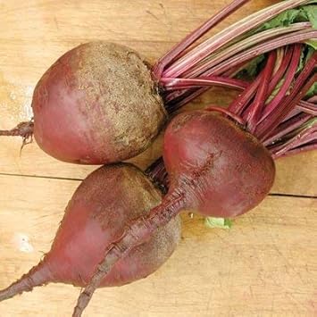 Pink Beetroot Seeds for Planting