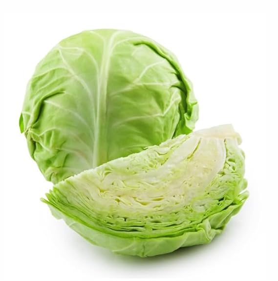 Cabbage Golden Acre Seeds – Heirloom, Early Maturing, High-Yield Vegetable Seeds
