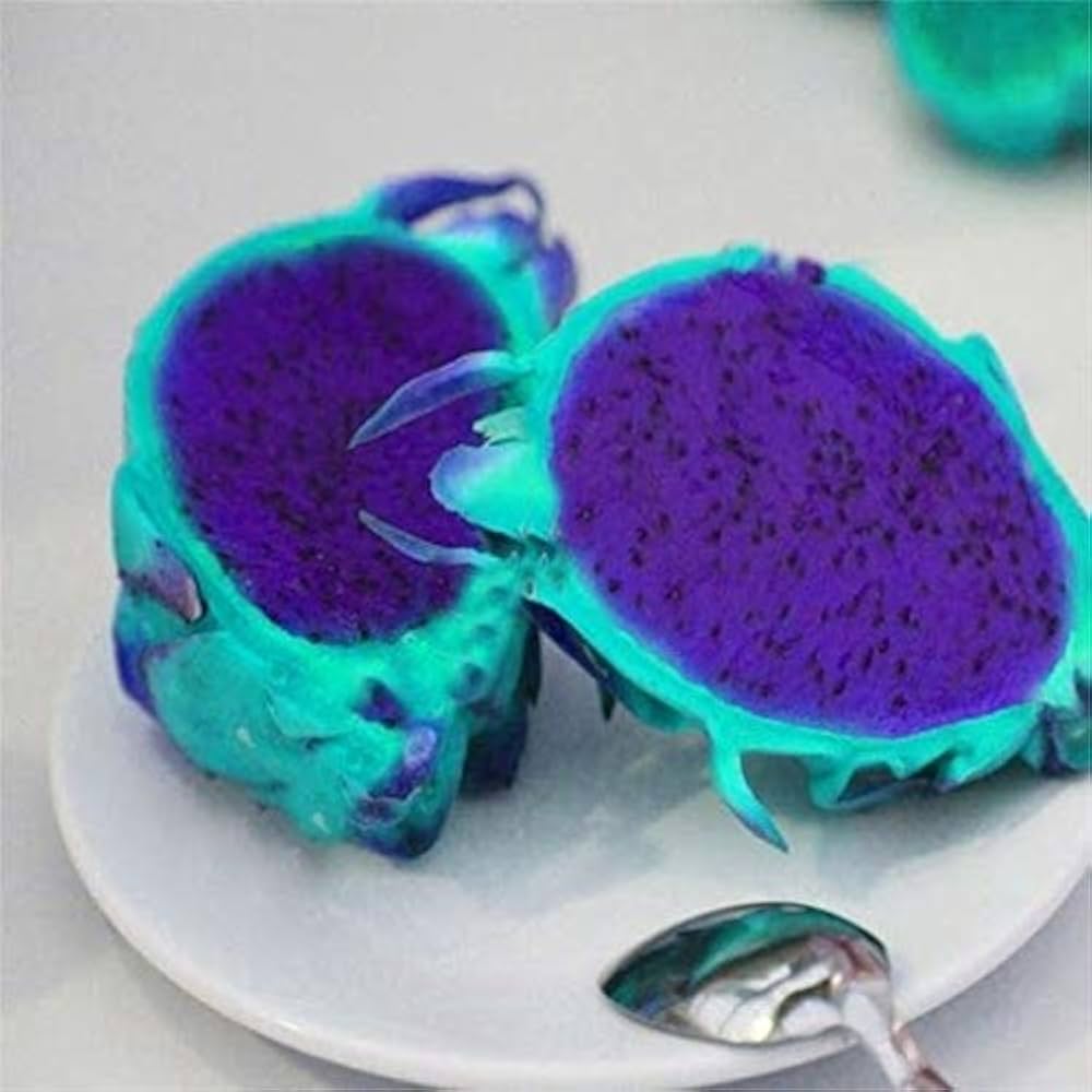 Pitaya Fruit Seeds for Planting - Sky Blue Variety for Beautiful Gardens