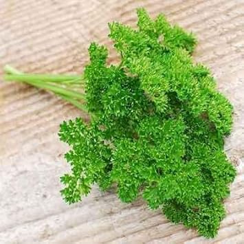 Flower Seeds, Seeds for Planting, Plant Seeds