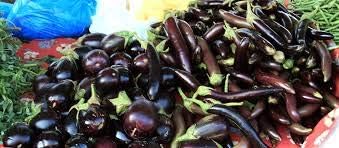 Mixed Eggplant Seeds for Planting