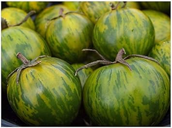 Tomato Seeds for Planting Green