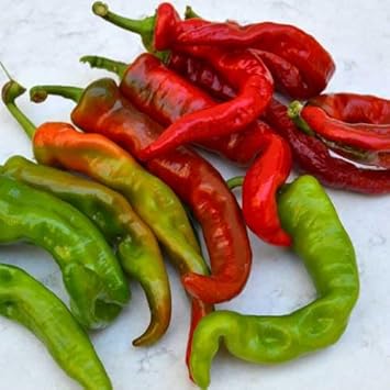 Anaheim Pepper Seeds for Planting