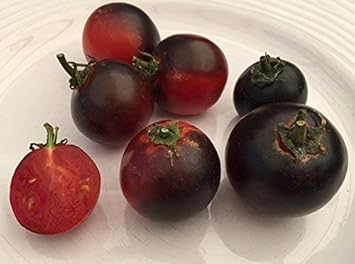 Red Black Midnight Tomato Seeds for Planting