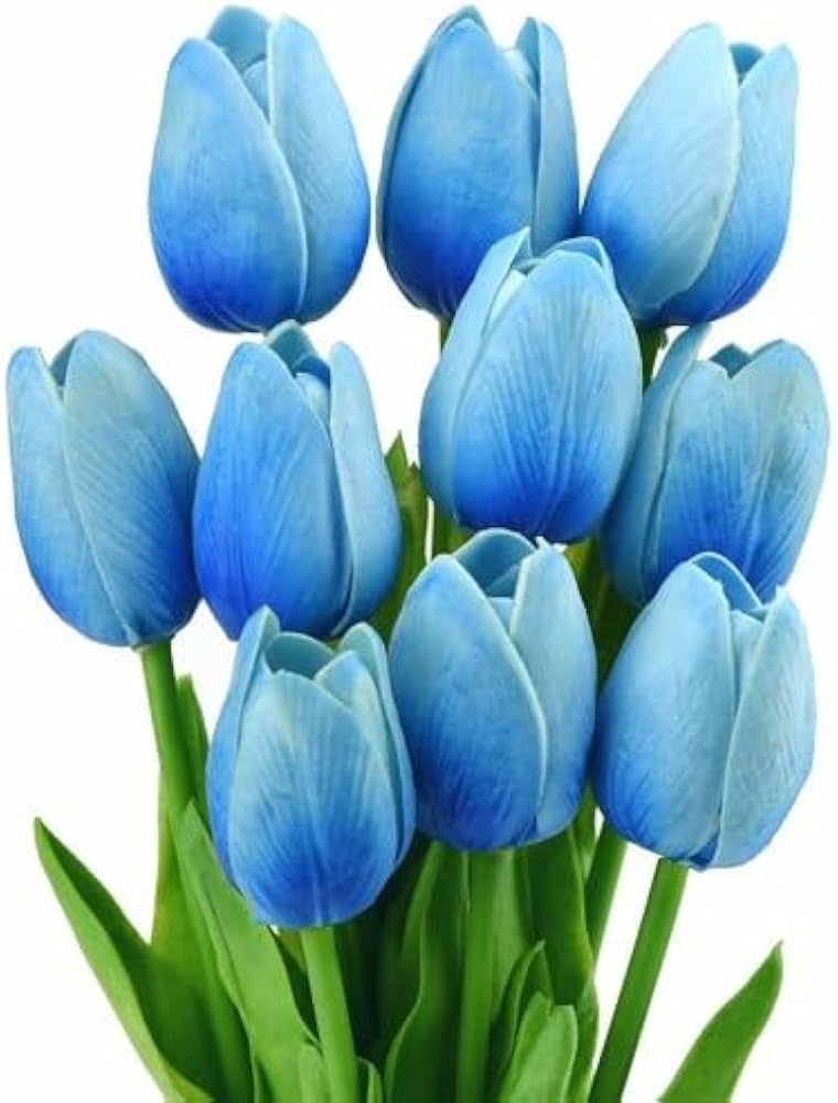 blue sky flower seeds