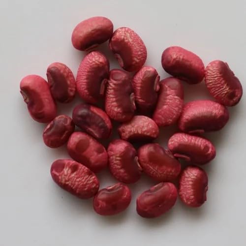Yardlong Bean Seeds for Planting – High Yield, Fast Growing, Organic Vegetable Seeds