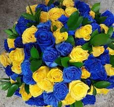 osiria rose flower seeds