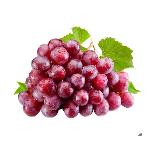 Grape Fruit Seeds for Growing Various Grape Varieties - Heirloom & non GMO seeds