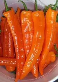 Orange Pepper Vegetable Seeds for Planting