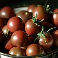Light Brown Tomato Seeds for Planting
