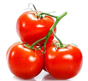 Tomato Jersey Vegetable For Planting Flower Seeds for Home Garden Planting, Ornamental Organic