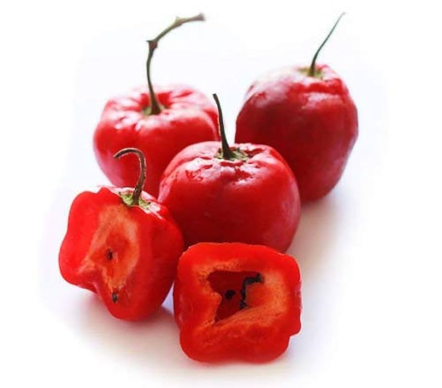 Red Rocoto Aji Locoto Capsicum Pubescens Hot Chili Pepper Seeds for Planting