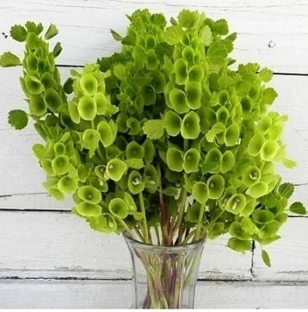 bells of flower seeds