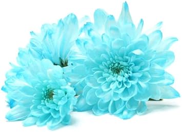 blue light flower seeds
