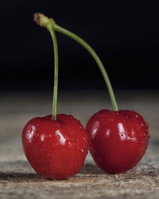 Lapins Sweet Cherry Fruit Seeds for Garden Planting – Heirloom, Non-GMO, Juicy Red Fruit