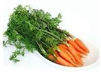 Little Finger Carrot Seeds for Planting