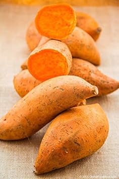 Heirloom Deep Orange Sweet Potato Vegetable Seeds