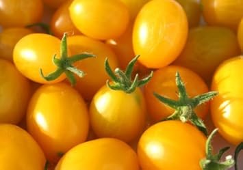 Yellow Grape Tomato Seeds for Planting