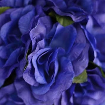 Flower Seeds, Seeds for Planting, Plant Seeds