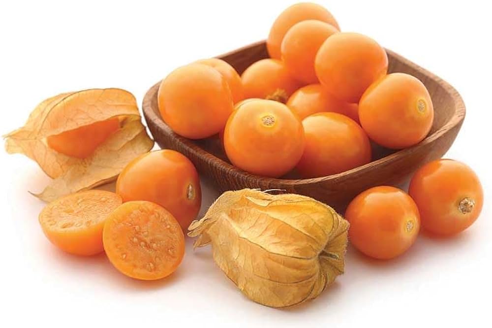 Physalis Fruit Seeds for Growing Tangy and Nutrient-Rich Berries  100 pcs