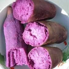 Vegetable Seeds, Seeds for Planting, Plant Seeds