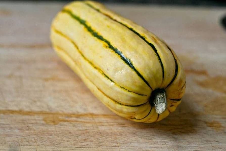 lakota squash flower seeds