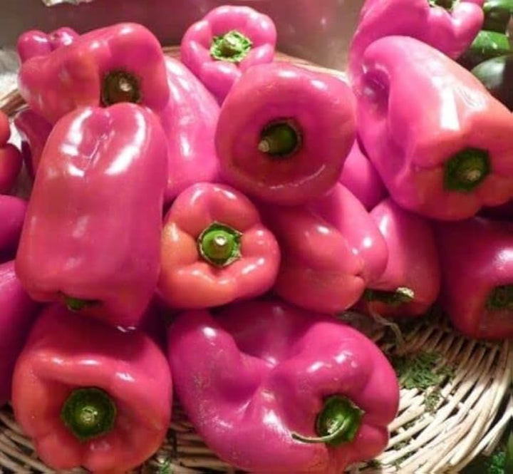 Pink Pepper Vegetable Seeds for Planting heirloom & Non-GMO Seeds