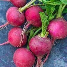 Radish Cherry Belle Seeds