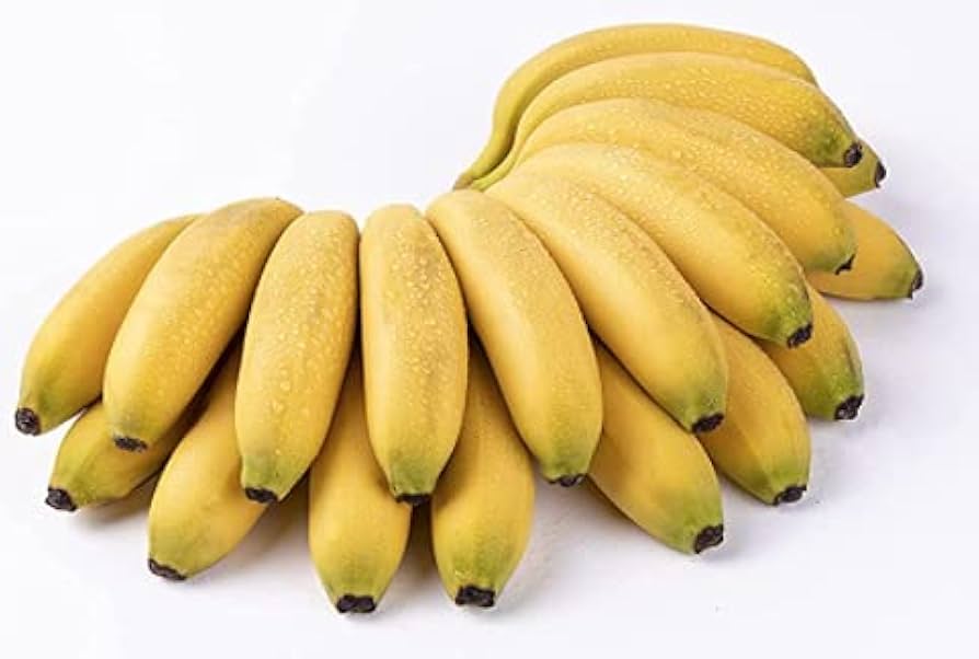 Gule banantræfrø til dyrkning af søde tropiske bananer 100 stk