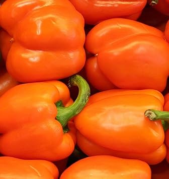 Orange Bell Pepper Vegetable Seeds for Planting