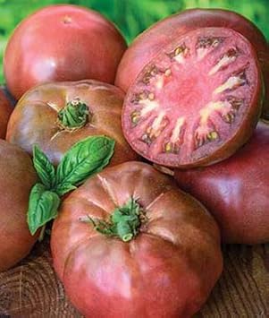 Big Maroon Tomato Seeds for Planting