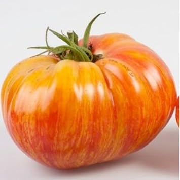 Rainbow Giant Beefsteak Tomato Seeds for Planting