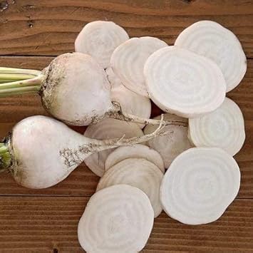 White Beetroot Vegetable Seeds for Planting