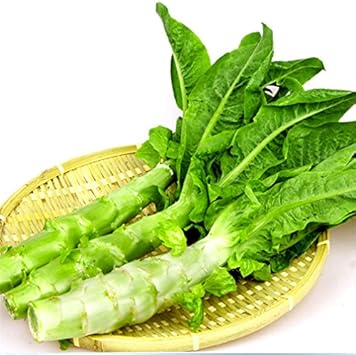 Green Celtuce Asparagus Seeds for Planting