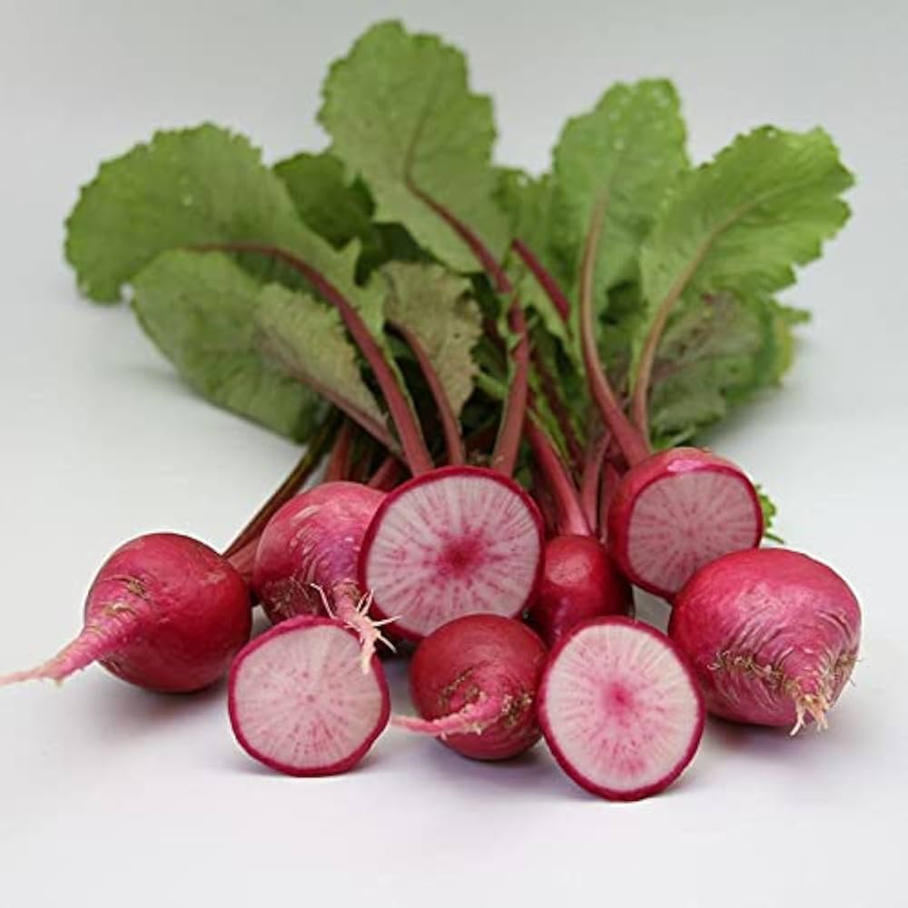 Red Turnip Vegetable Seeds for Planting – Heirloom, Non-GMO, Organic Garden Seeds, High Germination Root Vegetable