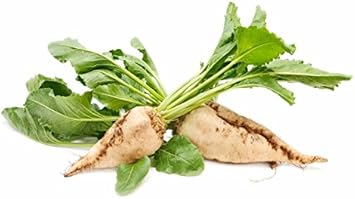 Cream Beet Seeds for Planting