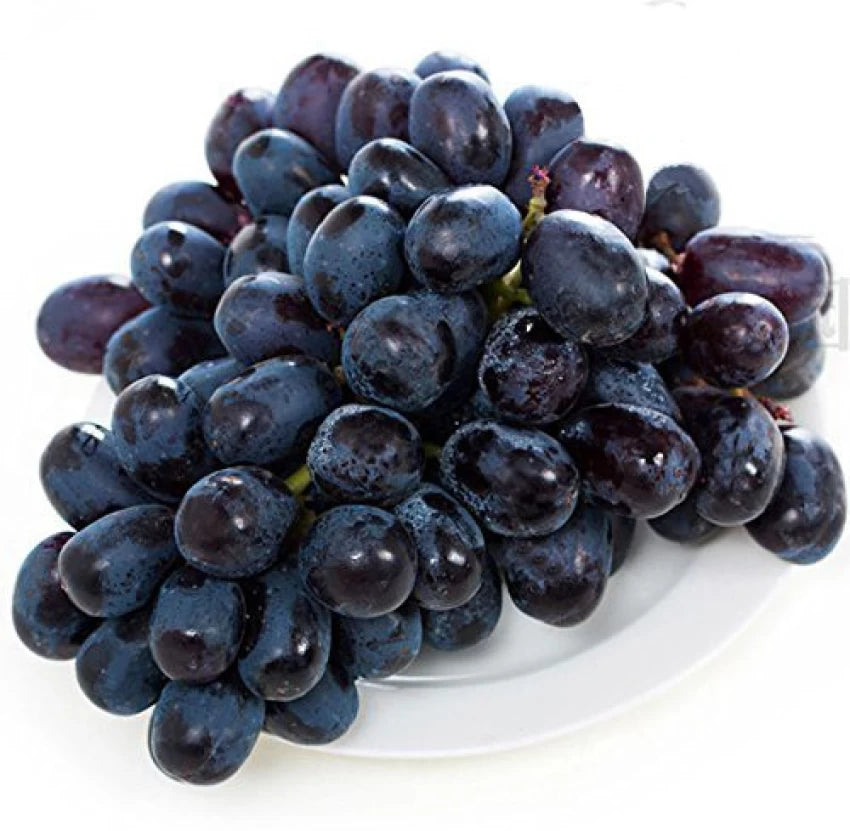 Black Brazilian or  Jaboticaba  Grape Fruit Seeds for Planting - High-Quality Grapes Seeds