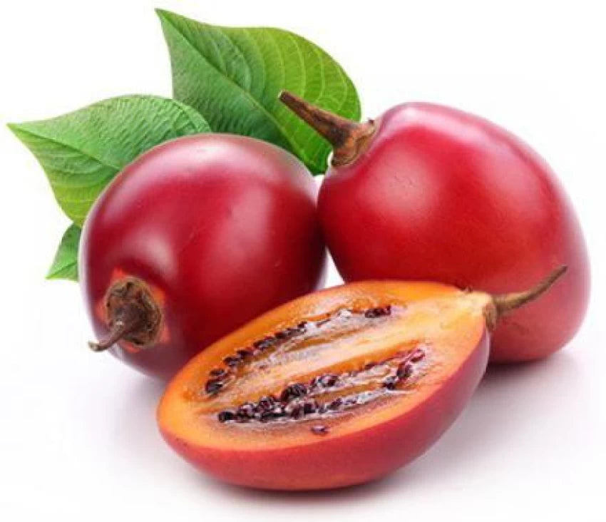 Red Tamarillo Fruit Seeds for Planting - Growing Exotic Trees, Heirloom & Non-GMO Seeds for Home Garden