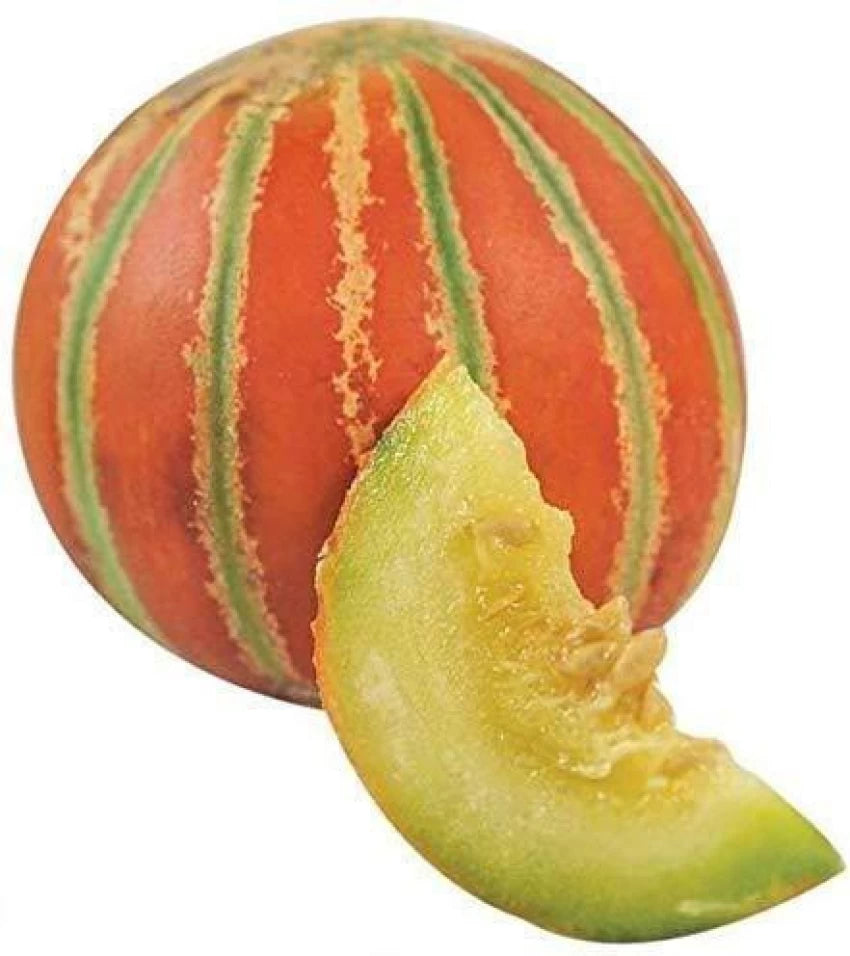 Orange  Musk Melon Fruit Seeds for Planting - Heirloom & Non-GMO Seeds