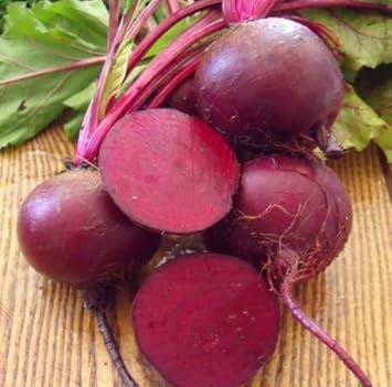 Violet Beetroot Seeds for Planting